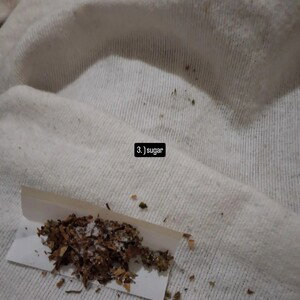 rage, clean rap, trap soul