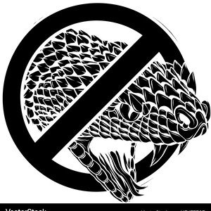 no snakes ft KAANG
