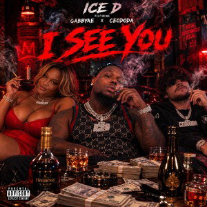 ice D ft Gabbyae & CEODoda{I See You}_ official audio 