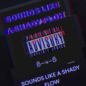 SOUNDS LIKE A SHADY FLOW - B-u-B 