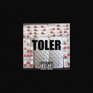 SDPS - TOLER