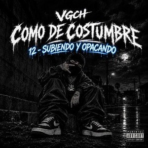 12.- SUBIENDO Y OPACANDO - (COMO DE COSTUMBRE 💿)