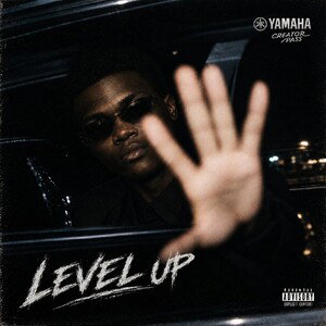 Level 