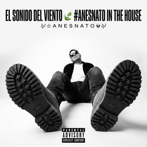 el sonido del viento 🍃🌬️ #anesNato in the house 