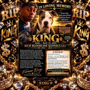 Rip KinG