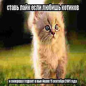 #РватьНаБитах challenge,one take.