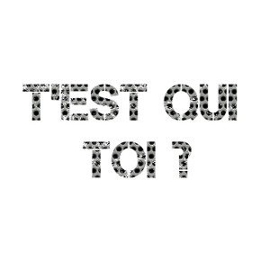 TESTQUITOI
