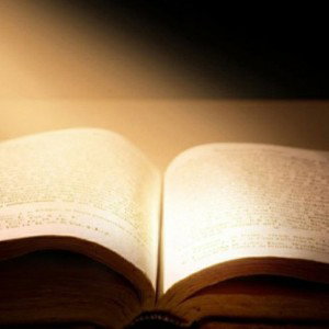 The word 
