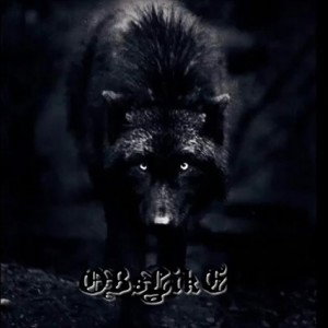 special obslike( slike ft osf