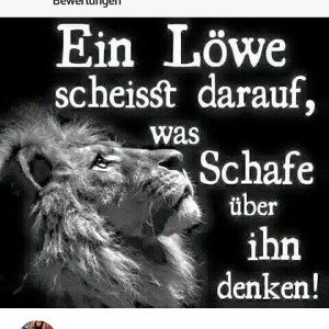 BosS feat. Esmeralda    -(Ehre, Stolz und Loyalität)