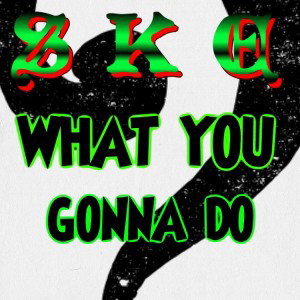 WHAT YOU GON DO BY S K E