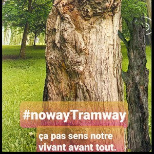 Terrien ? l'erreur tes rien