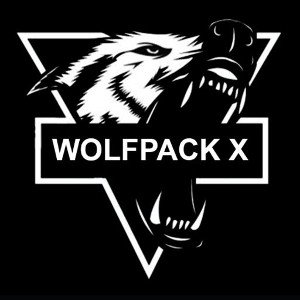 MINHA HISTÓRIA (WOLFPACK)