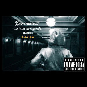 DORMANT - CATCH MY WAVE