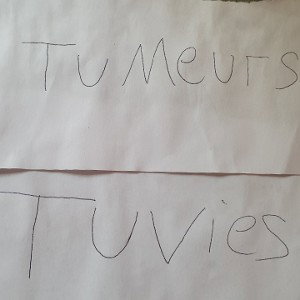 tu vie tu meurs 