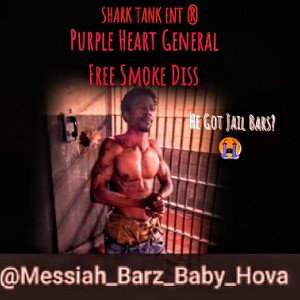 king say ance shark bait reply