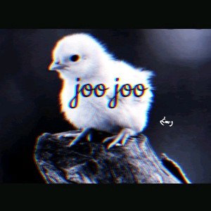 joo joo