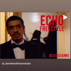 Echo (DontFeedTheAnimals)
