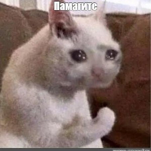 крошки жизнь