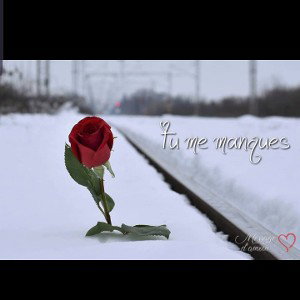 tu me manque