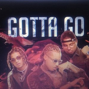  Gotta Go demo
