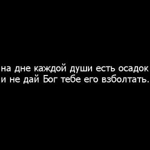 MSD Cat - Взгляд изнутри