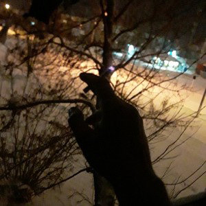 Сержант Дивана