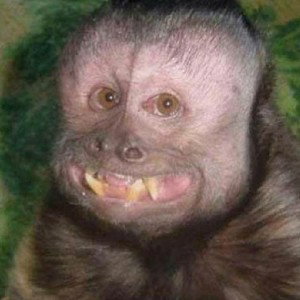 Ms. Migler