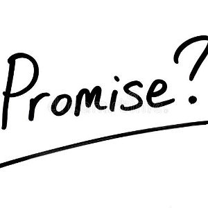 The last promise 