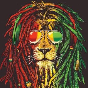 REGGAE REGGAE - MEÑO MAN  🎶