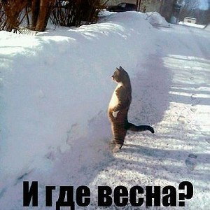 заебала зима 