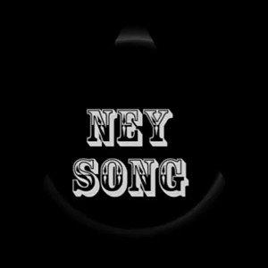 Neysong Sucia Sociedad 2.0