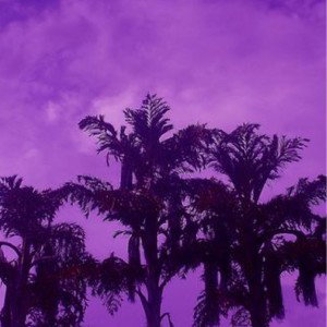 Purple love