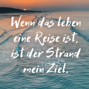 _Zur--ck_ins_Leben Sarkasmus 