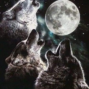 Lone Wolf #2