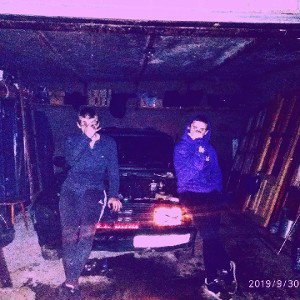 ПИТБУЛЬ-Дикие растения