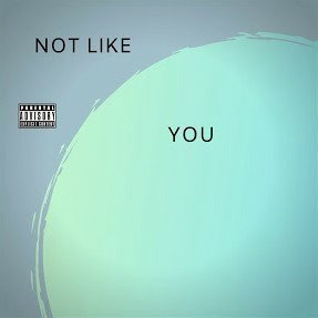 mp-NOT LIKE YOU (Official audio)