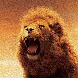Detras del Leon 🦁