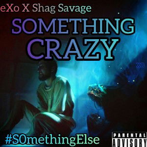 Something Crazy (ft. eXo)