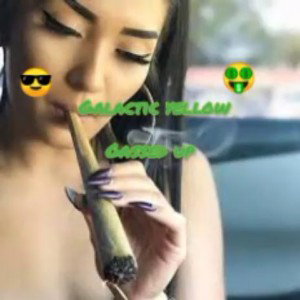 gassed up
