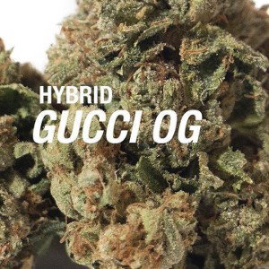 Gucci Kush