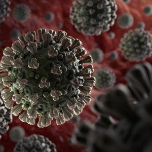 the virus