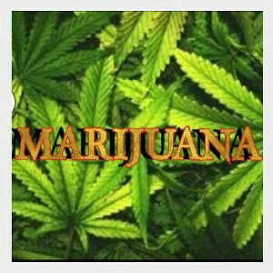 BERA X KSN_Märijuana