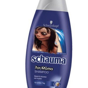 Momo ist Frisch
