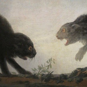 Котик