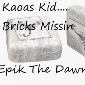 1. Bricks Missin