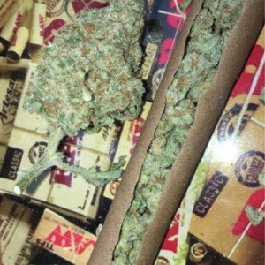 DOJA & SWISHER SWEETS