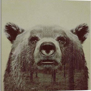 Bear mountain 