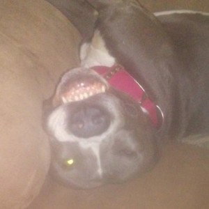haunted reactions