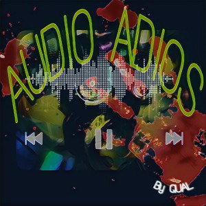 QUAL- Audio ADIOS (NorthWesT)